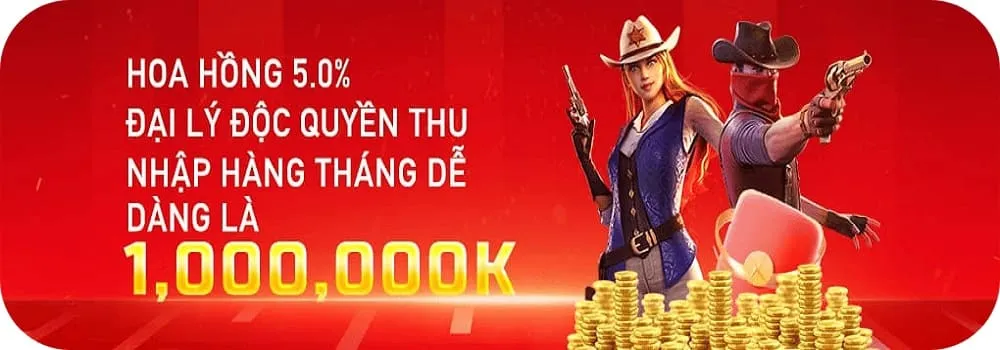 vn23r nạp rút